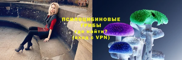 мескалин Елизово