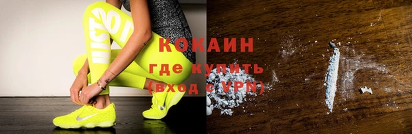 прущие грибы Ельня