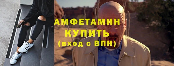 прущие грибы Ельня
