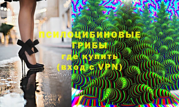 прущие грибы Ельня