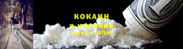прущие грибы Ельня
