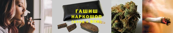 прущие грибы Ельня