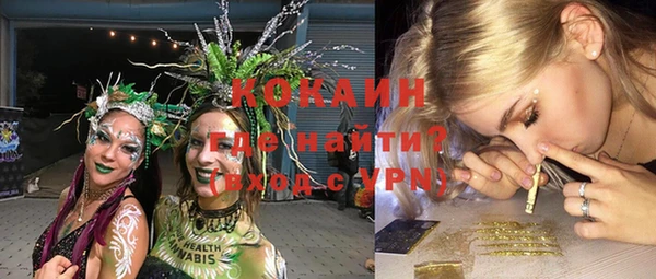 прущие грибы Ельня