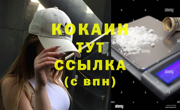 прущие грибы Ельня