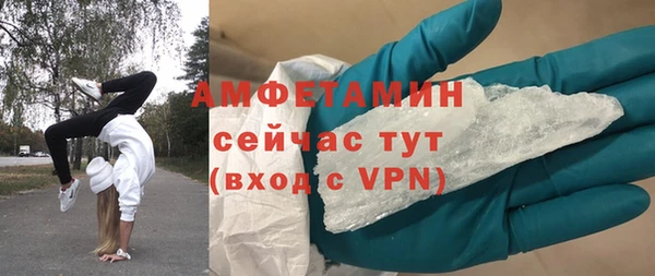 прущие грибы Ельня