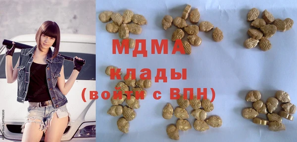 прущие грибы Ельня