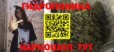 гашик Ярославль